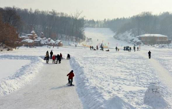 图片8.jpg 图片8.jpg