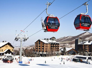 图片10.png 图片10.png